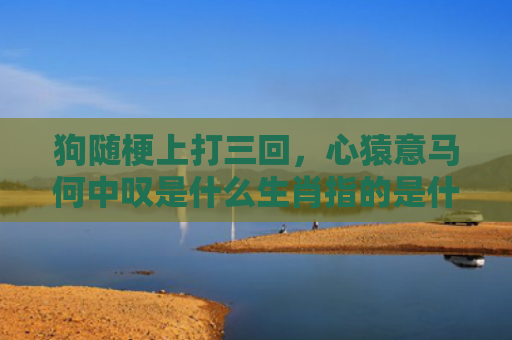 狗随梗上打三回，心猿意马何中叹是什么生肖指的是什么生肖，星座解读落实