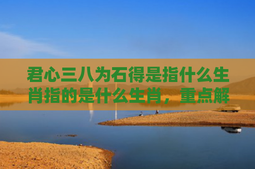 君心三八为石得是指什么生肖指的是什么生肖，重点解答星座释义