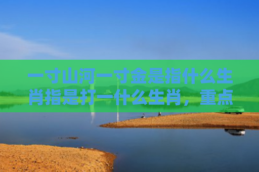 一寸山河一寸金是指什么生肖指是打一什么生肖，重点解答星座释义