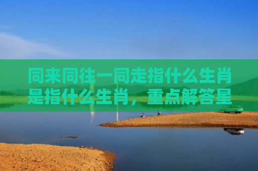 同来同往一同走指什么生肖是指什么生肖，重点解答星座释义