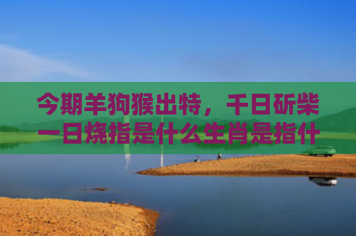 今期羊狗猴出特，千日斫柴一日烧指是什么生肖是指什么生肖，经典解答星座知识