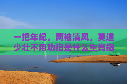 一把年纪，两袖清风，莫道少壮不用功指是什么生肖指的是什么生肖，重点解答星座释义