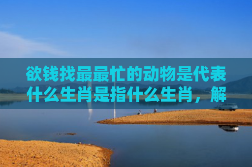 欲钱找最最忙的动物是代表什么生肖是指什么生肖，解读星座知识