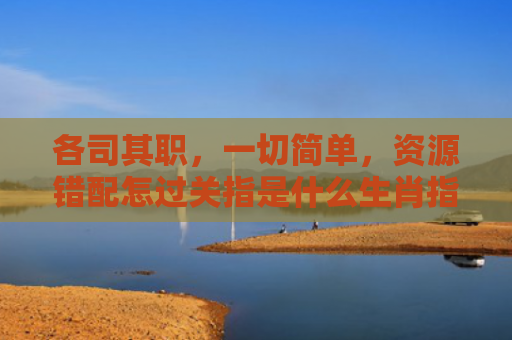 各司其职，一切简单，资源错配怎过关指是什么生肖指的是什么生肖，重点解答星座释义