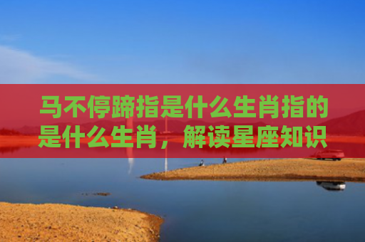 马不停蹄指是什么生肖指的是什么生肖，解读星座知识