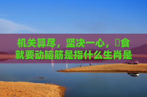 机关算尽，坚决一心，搵食就要动脑筋是指什么生肖是指什么生肖，解读星座知识
