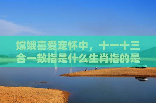 嫦娥喜爱宠怀中，十一十三合一数指是什么生肖指的是什么生肖，星座解读落实
