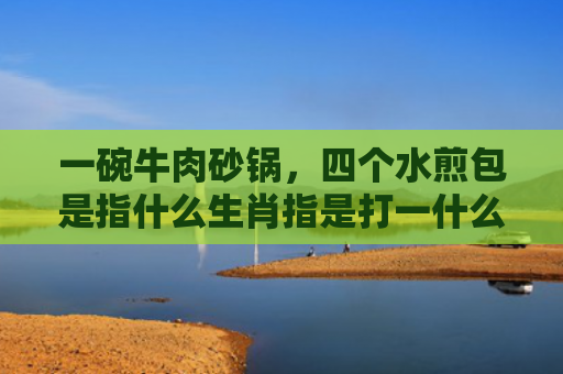一碗牛肉砂锅，四个水煎包是指什么生肖指是打一什么生肖，重点解答星座释义