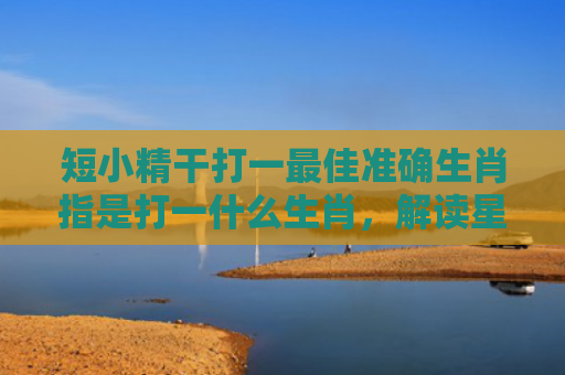 短小精干打一最佳准确生肖指是打一什么生肖，解读星座知识