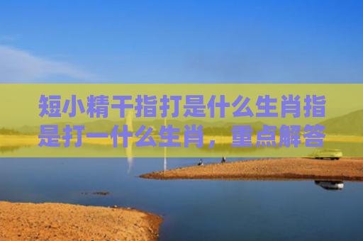 短小精干指打是什么生肖指是打一什么生肖，重点解答星座释义