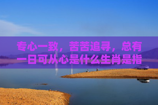 专心一致，苦苦追寻，总有一日可从心是什么生肖是指什么生肖，重点解答星座释义