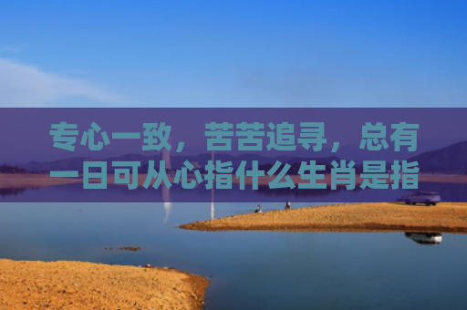 专心一致，苦苦追寻，总有一日可从心指什么生肖是指什么生肖，普及星座常识