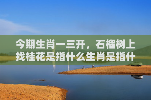 今期生肖一三开，石榴树上找桂花是指什么生肖是指什么生肖，解读星座知识