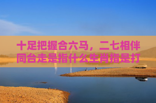 十足把握合六马，二七相伴同台走是指什么生肖指是打一什么生肖，解读星座知识