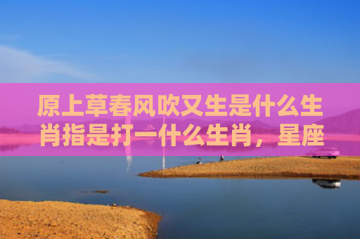 原上草春风吹又生是什么生肖指是打一什么生肖，星座解读落实