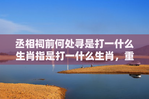 丞相祠前何处寻是打一什么生肖指是打一什么生肖，重点解答星座释义