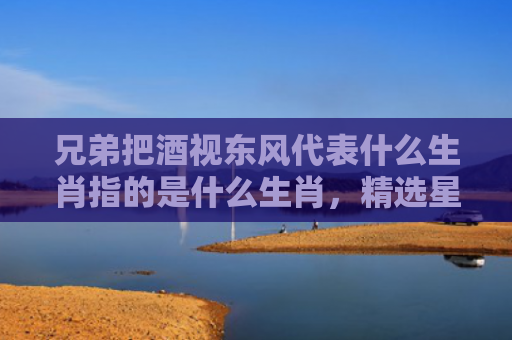 兄弟把酒视东风代表什么生肖指的是什么生肖，精选星座解释