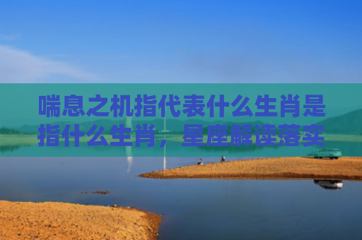 喘息之机指代表什么生肖是指什么生肖，星座解读落实