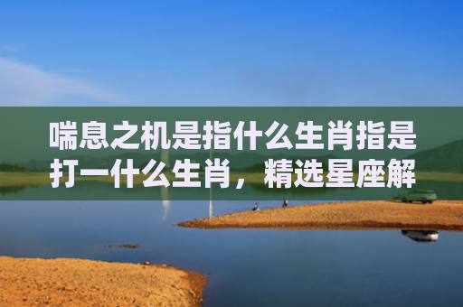 喘息之机是指什么生肖指是打一什么生肖，精选星座解释