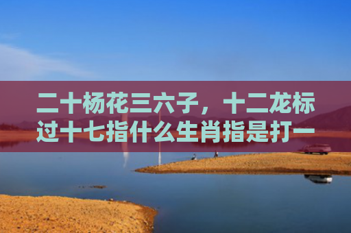 二十杨花三六子，十二龙标过十七指什么生肖指是打一什么生肖，精选星座解释