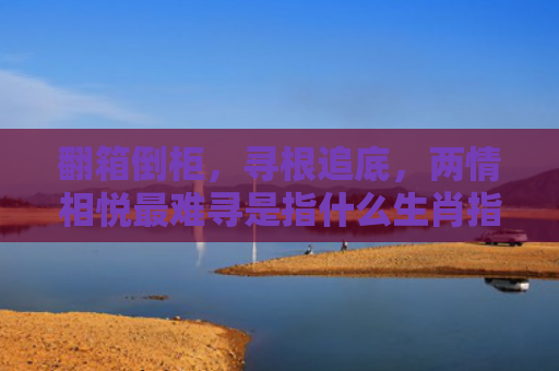 翻箱倒柜，寻根追底，两情相悦最难寻是指什么生肖指的是什么生肖，重点解答星座释义