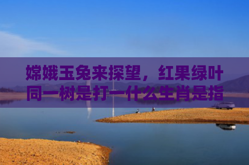 嫦娥玉兔来探望，红果绿叶同一树是打一什么生肖是指什么生肖，重点解答星座释义