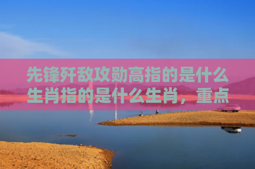 先锋歼敌攻勋高指的是什么生肖指的是什么生肖，重点解答星座释义