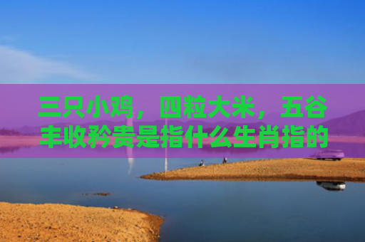 三只小鸡，四粒大米，五谷丰收矜贵是指什么生肖指的是什么生肖，重点解答星座释义