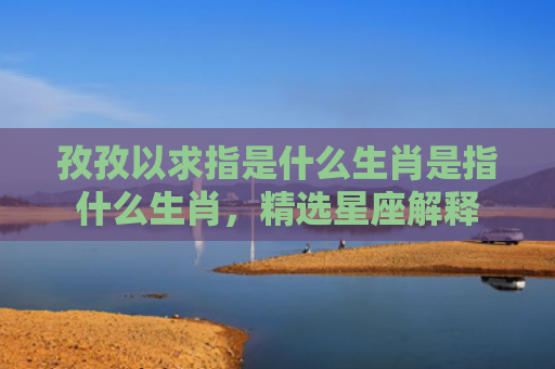孜孜以求指是什么生肖是指什么生肖，精选星座解释