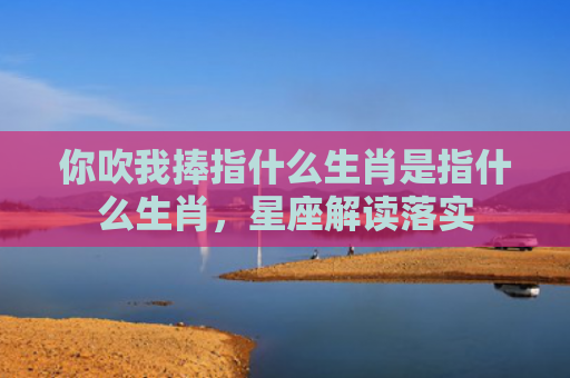 你吹我捧指什么生肖是指什么生肖，星座解读落实