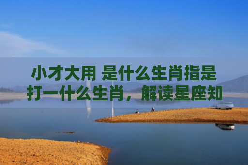 小才大用 是什么生肖指是打一什么生肖，解读星座知识
