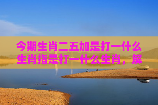 今期生肖二五加是打一什么生肖指是打一什么生肖，解读星座知识