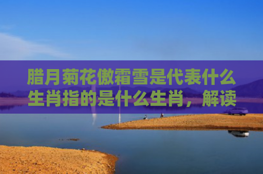 腊月菊花傲霜雪是代表什么生肖指的是什么生肖，解读星座知识