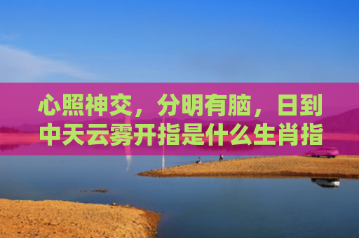 心照神交，分明有脑，日到中天云雾开指是什么生肖指的是什么生肖，重点解答星座释义