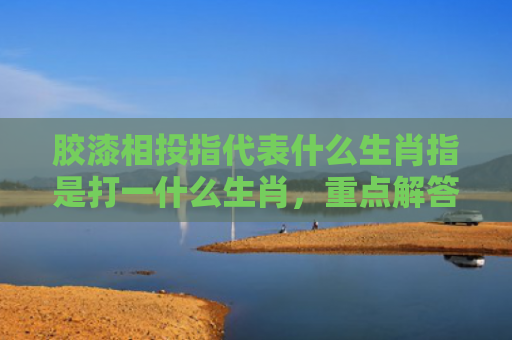 胶漆相投指代表什么生肖指是打一什么生肖，重点解答星座释义