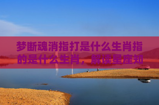 梦断魂消指打是什么生肖指的是什么生肖，解读星座知识