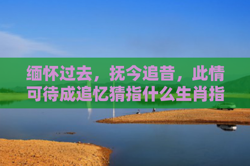 缅怀过去，抚今追昔，此情可待成追忆猜指什么生肖指的是什么生肖，经典解答星座知识