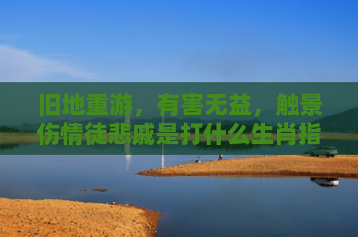 旧地重游，有害无益，触景伤情徒悲戚是打什么生肖指的是什么生肖，星座解读落实