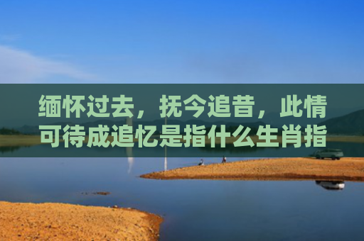 缅怀过去，抚今追昔，此情可待成追忆是指什么生肖指是打一什么生肖，经典解答星座知识