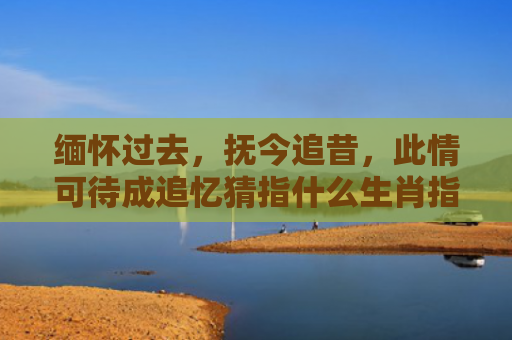 缅怀过去，抚今追昔，此情可待成追忆猜指什么生肖指是打一什么生肖，经典解答星座知识