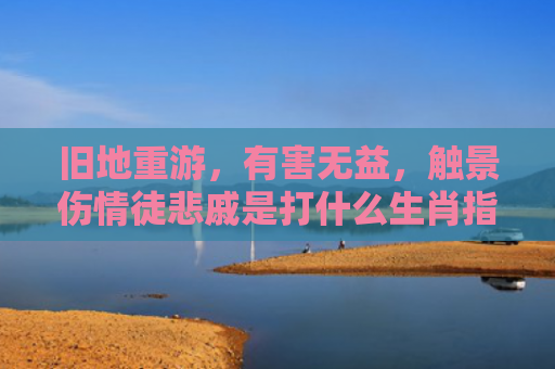 旧地重游，有害无益，触景伤情徒悲戚是打什么生肖指是打一什么生肖，经典解答星座知识