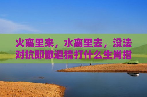 火离里来，水离里去，没法对抗即撤退猜打什么生肖指的是什么生肖，星座解读落实