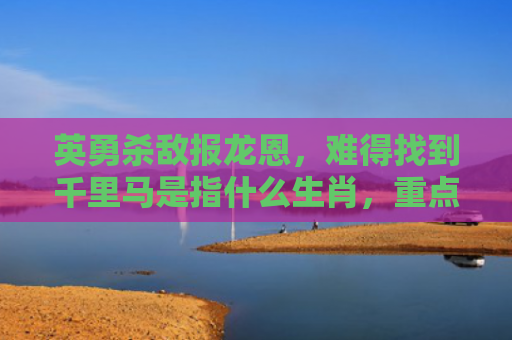 英勇杀敌报龙恩，难得找到千里马是指什么生肖，重点解答星座释义