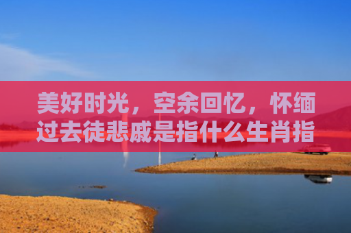 美好时光，空余回忆，怀缅过去徒悲戚是指什么生肖指是打一什么生肖，星座解读落实