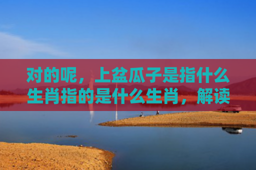 对的呢，上盆瓜子是指什么生肖指的是什么生肖，解读星座知识