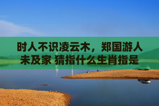 时人不识凌云木，郑国游人未及家 猜指什么生肖指是打一什么生肖，重点解答星座释义