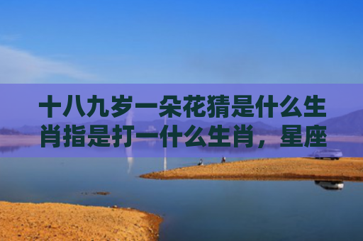 十八九岁一朵花猜是什么生肖指是打一什么生肖，星座解读落实