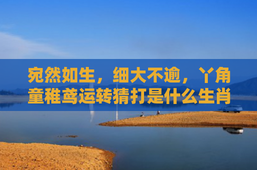 宛然如生，细大不逾，丫角童稚鸢运转猜打是什么生肖指的是什么生肖，星座解读落实