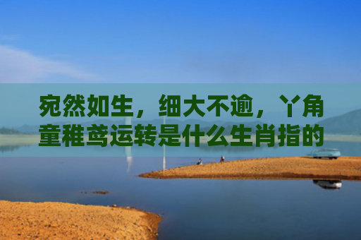 宛然如生，细大不逾，丫角童稚鸢运转是什么生肖指的是什么生肖，星座解读落实