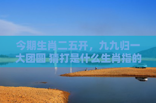 今期生肖二五开，九九归一大团圆 猜打是什么生肖指的是什么生肖，重点解答星座释义
